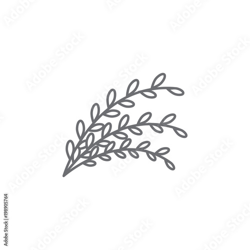 Willow twig outline icon. Simple element illustration. Willow twig symbol design template. Can be used for web and mobile