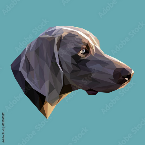 Pointer low poly design. Triangle vector illustration.