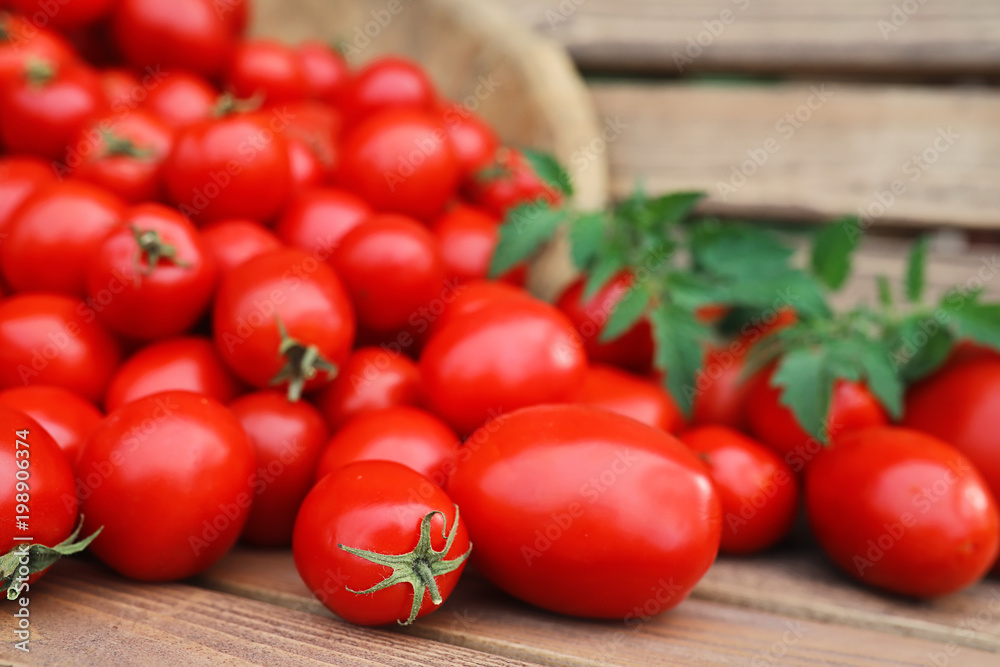 Fresh tomato crop in a wooden bowl Fresh tomato crop in a wooden bowl