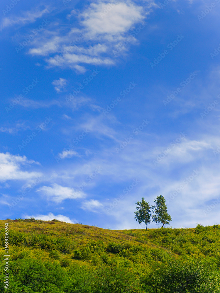 Two isolated trees on top of a green hill with beautiful blue sky background Two isolated trees on top of a green hill with beautiful blue sky background