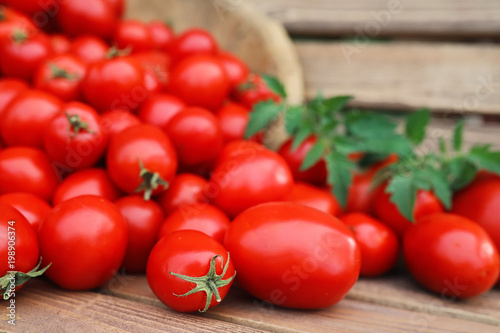 Fresh tomato crop in a wooden bowl