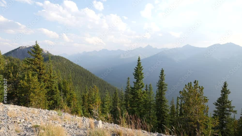 Coniferous trees and mountains Coniferous trees and mountains