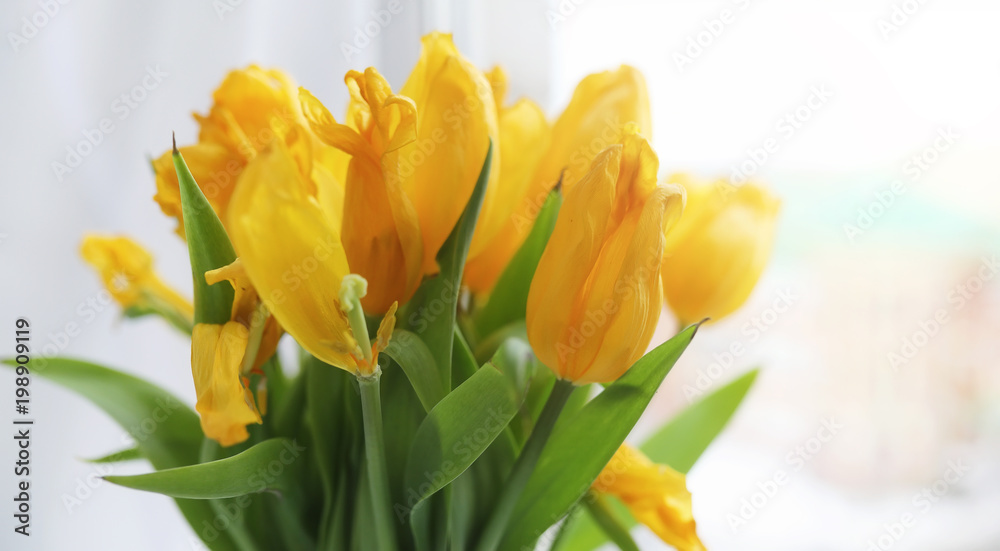 A bouquet of red tulips in a vase on the windowsill. A gift for A bouquet of red tulips in a vase on the windowsill. A gift for
