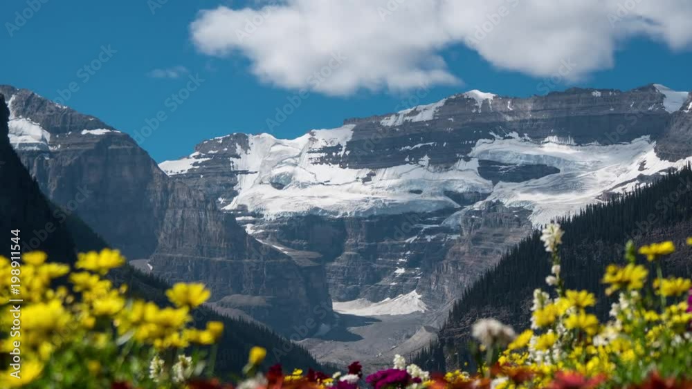 Timelapse of mountains and colorful flowers Timelapse of mountains and colorful flowers