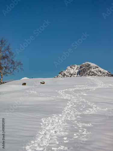 Spring snowy landscape © Brambilla Simone