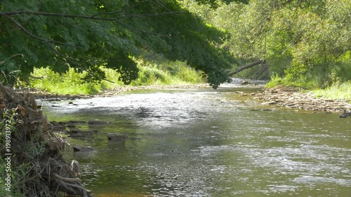 Wallpaper Mural River flowing near trees Torontodigital.ca