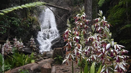 Siriphum Waterfall at Inthanon National Park in Chiang Mai, Thailand. photo