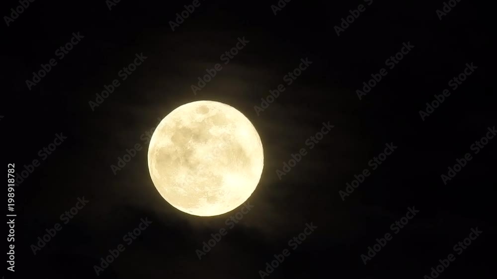 MOON MOON