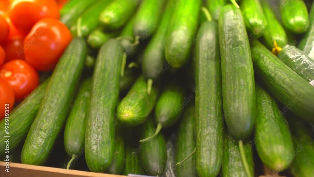Ripe fresh green cucumbers on sale at the market shelf, closeup. Cucumbers on a market shelf. 4 k Vegetable section in the supermarket. Tomatoes and cucumbers. Ripe fresh green cucumbers on sale at the market shelf, closeup. Cucumbers on a market shelf. 4 k Vegetable section in the supermarket. Tomatoes and cucumbers.