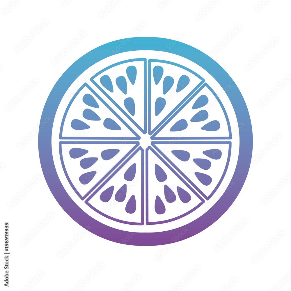 half orange citrus and fresh fruit icon half orange citrus and fresh fruit icon