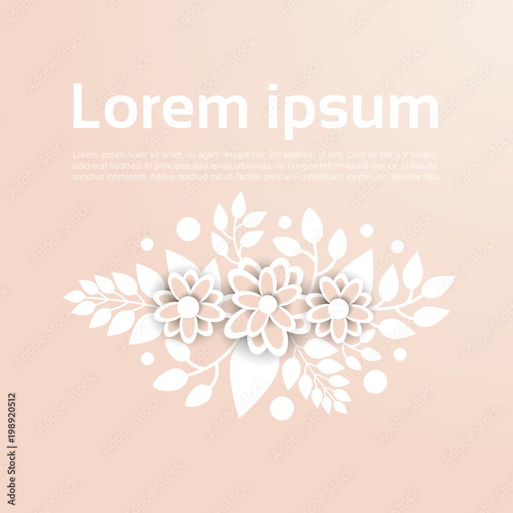 Template Floral Ornament Background Beautiful White Flowers Over Pastel Copy Space Vector Illustration
