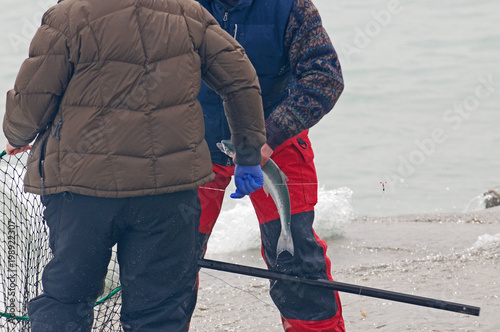 Men fishing for small spring coho salmon at the shore of Lake Michigan