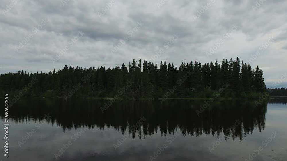 Fir tree forest on the lake shore Fir tree forest on the lake shore