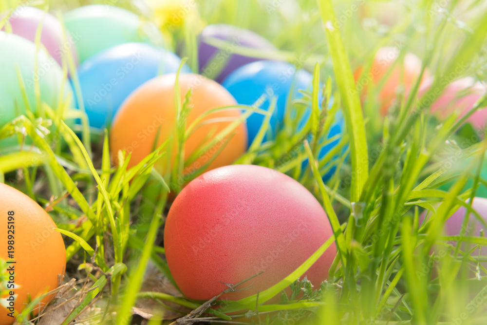 Easter egg ! happy colorful Easter sunday hunt holiday decorations Easter concept backgrounds with copy space