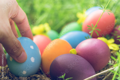 Easter egg ! happy colorful Easter sunday hunt holiday decorations Easter concept backgrounds with copy space