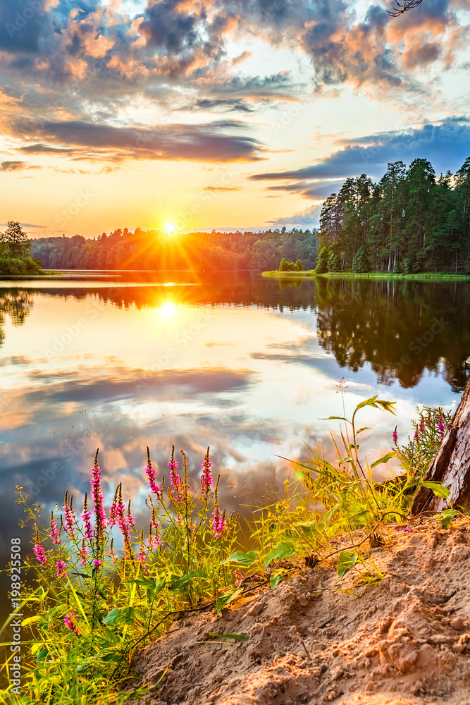 Fototapeta premium Beautiful sunset over lake in a forest