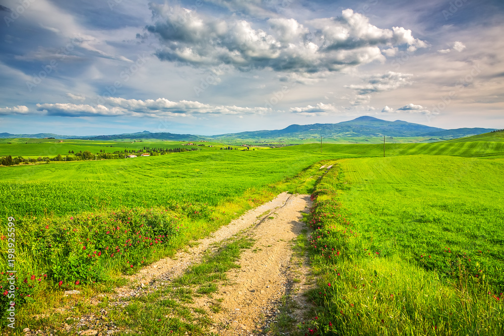 Beautiful tuscany landscape at spring , Italy