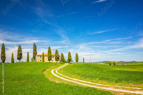 Tuscany landscape at spring , Italy