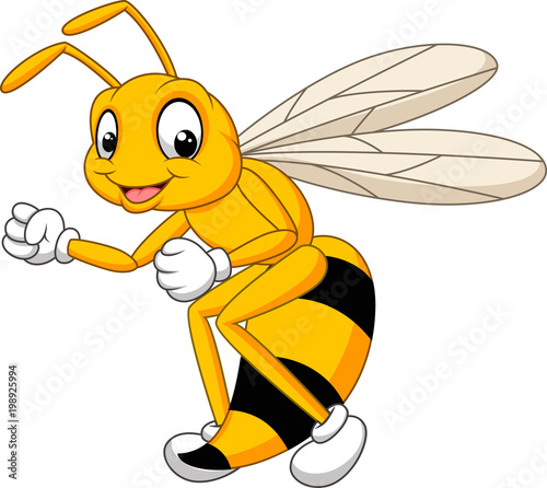 Cartoon bee hornet isolated on white background