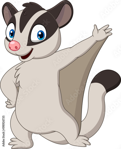 Cartoon sugar glider posing