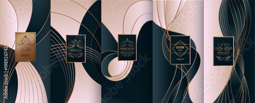 Collection of design elements,labels,icon,frames, for packaging,design of luxury products.for perfume,soap,wine, lotion.Made with golden foil.Isolated on line background.vector illustration