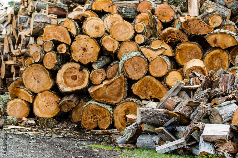 wooden logs stacked up to become firewood wooden logs stacked up to become firewood