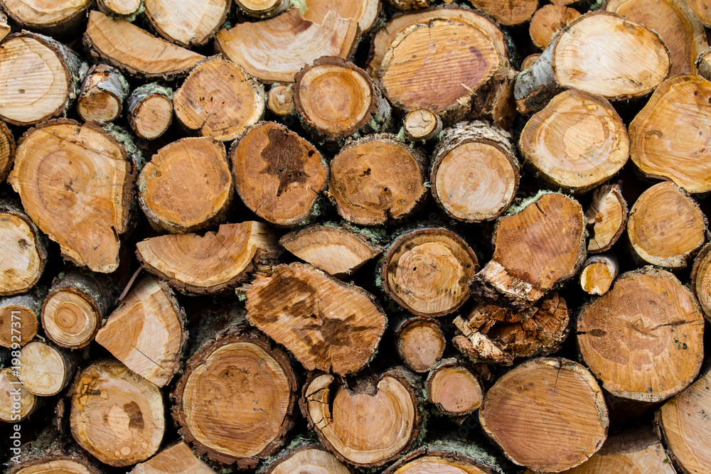 wooden logs stacked up to become firewood