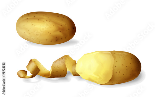 Potato peeled 3D vector illustration of isolated realistic potato vegetable whole and half peeled with spiral peel. Design template for potato chips food package or fastfood snack menu