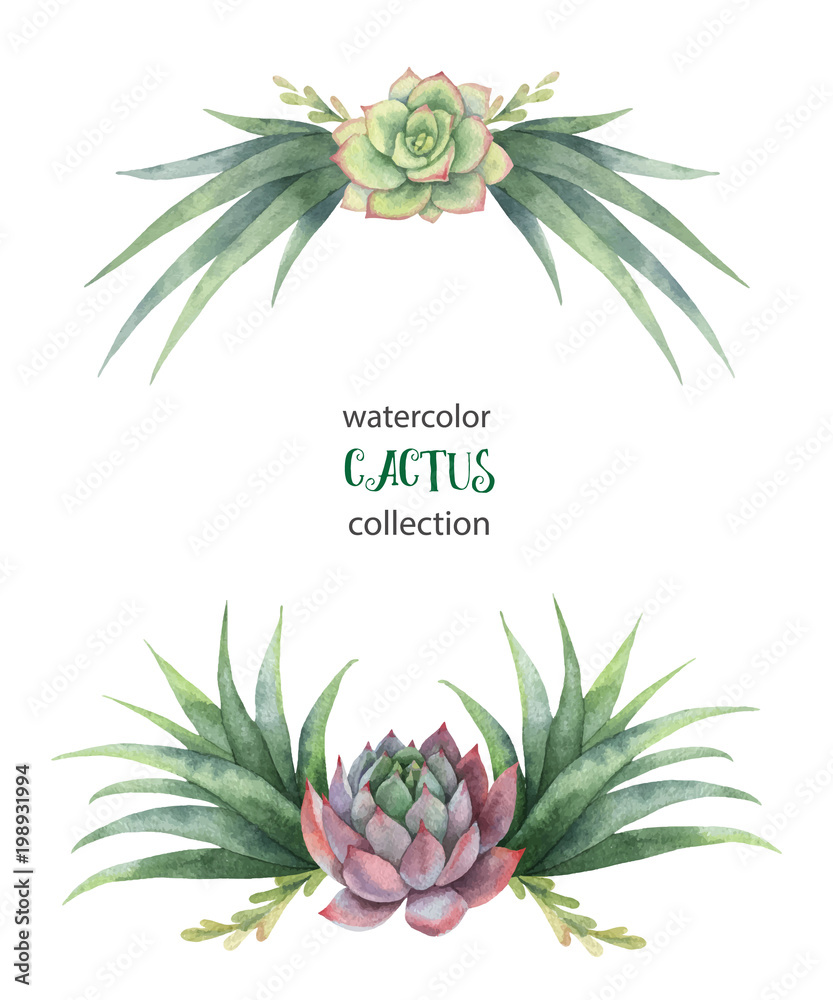 Watercolor vector wreath of cacti and succulent plants isolated on ...