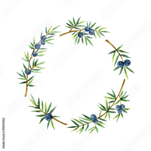Watercolor wreath plants juniper isolated on white background.