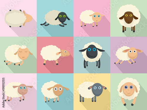 Sheep cute lamb farm icons set. Flat illustration of 12 sheep cute lamb farm vector icons for web