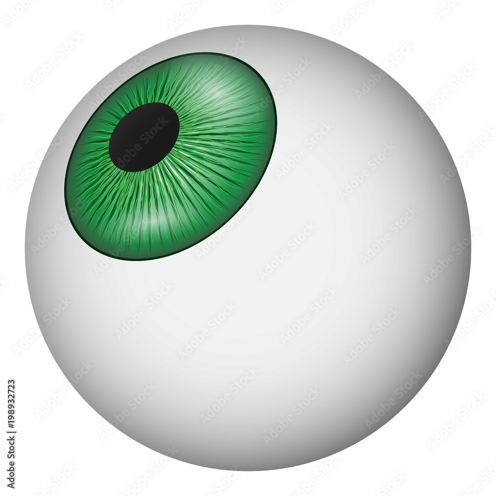Eyeball icon. Realistic illustration of eyeball vector icon for web Eyeball icon. Realistic illustration of eyeball vector icon for web