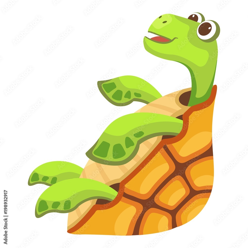 Fototapeta premium Beautiful turtle icon. Cartoon illustration of beautiful turtle vector icon for web