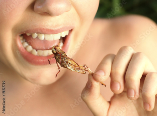 teenager european boy disgust grimace try eating unaccostomed asian food - roasted grasshopper close up photo photo