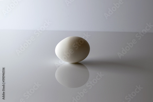 white egg isolated on white background