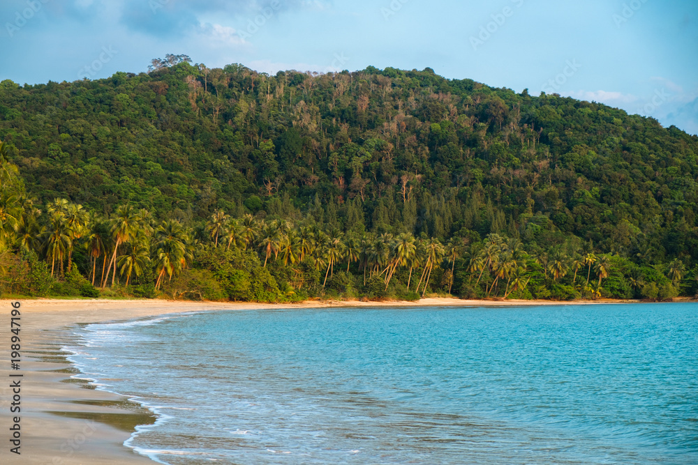 View of nice tropical beach with palms around tree and blue sky.
