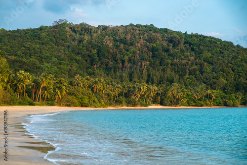 View of nice tropical beach with palms around tree and blue sky.