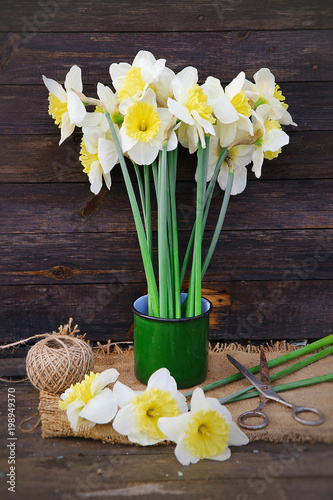 Fototapeta Naklejka Na Ścianę i Meble -  yellow daffodils. spring flowers