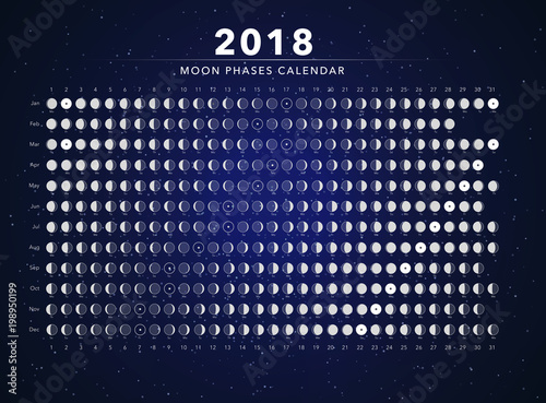 moon phases calendar vector