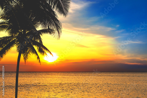 Silhouettes of palm trees and beautiful sea during sunset in Thailand, Phuket.