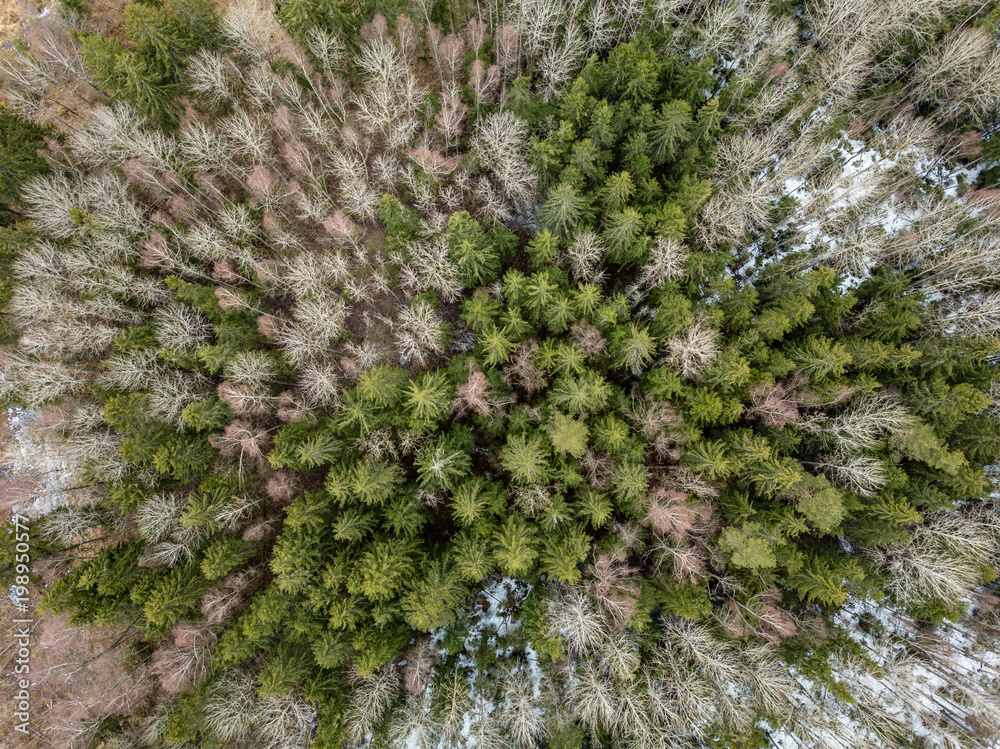 drone image. aerial view of rural area with fields and forests