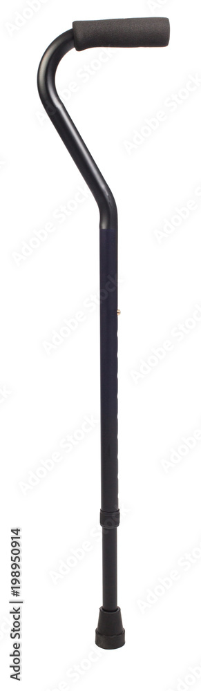 Black walking stick isolated on white background Black walking stick isolated on white background