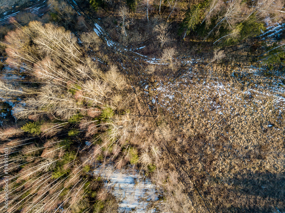 Fototapeta premium drone image. aerial view of rural area with fields and forests