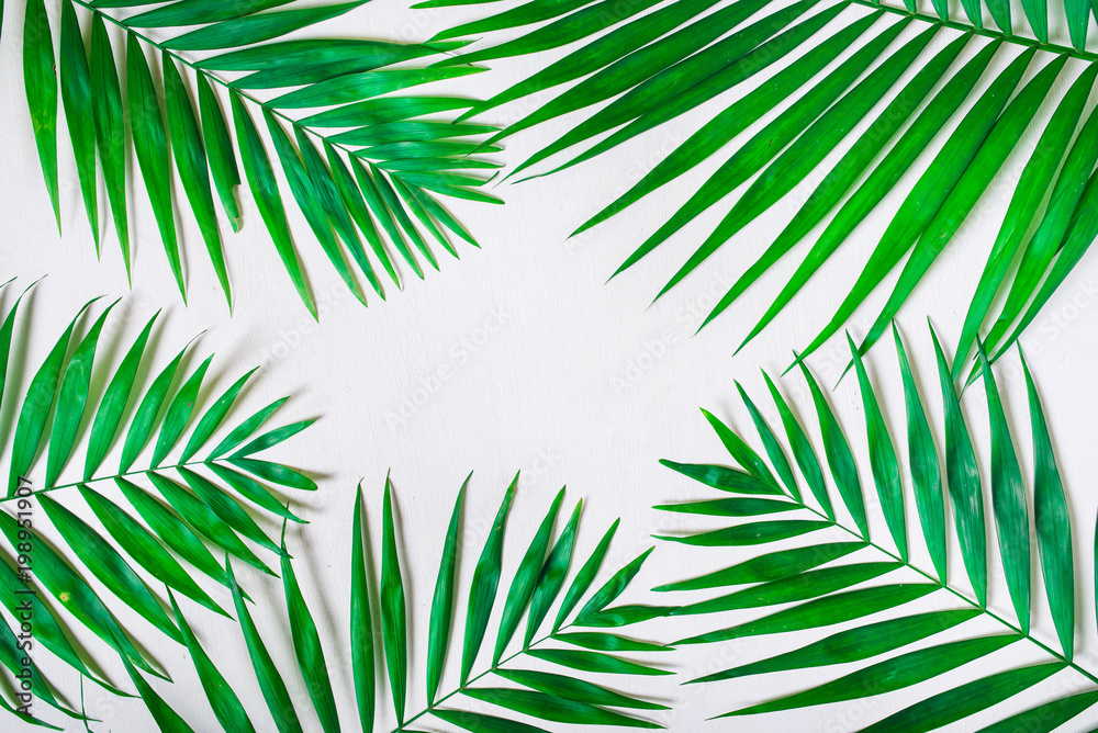 Fototapeta premium Palm leaves on a white background