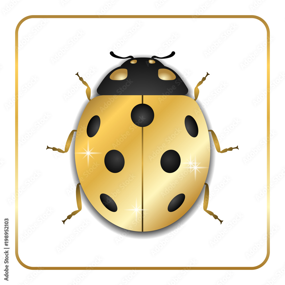 Obraz premium Ladybug gold insect small icon. Golden metal lady bug animal sign, isolated on white background. 3d volume bright design. Cute shiny jewelry ladybird. Lady bird closeup beetle. Vector illustration