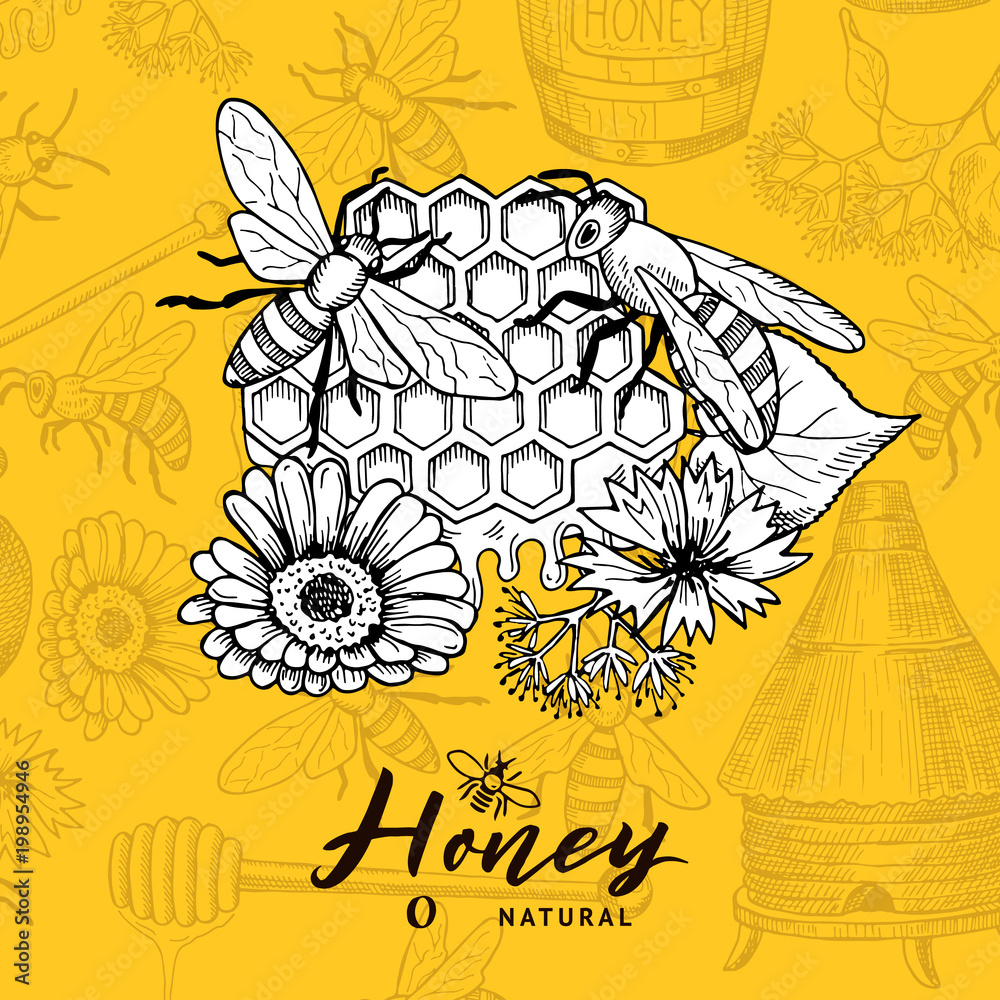 Vector background with sketched contoured honey theme elements and place for text