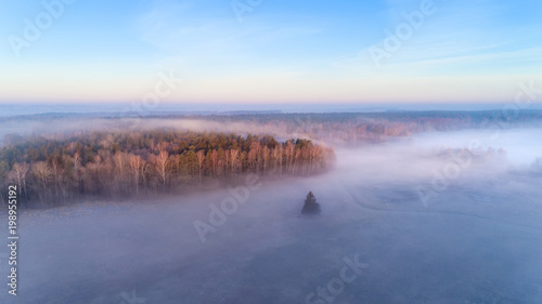 Foggy meadow from above