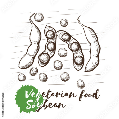 Vector hand drawn sketch of vegetarian food with food name.