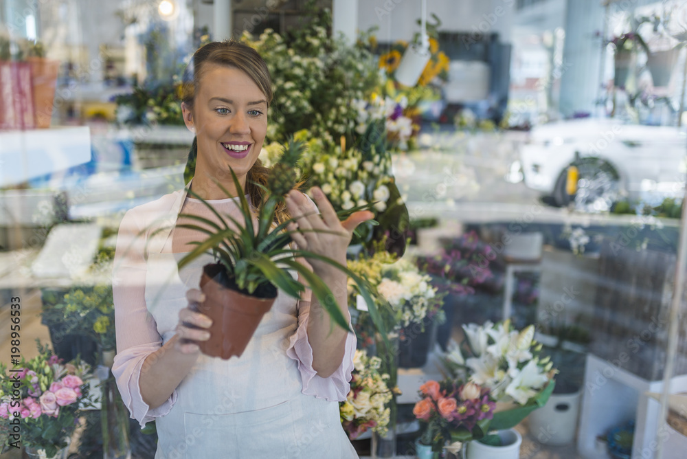 View through the window shops. Beautiful girl florist takes care of pineapple