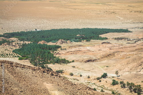Mountain oasis Tamerza in Tunisia near the border with Algeria.